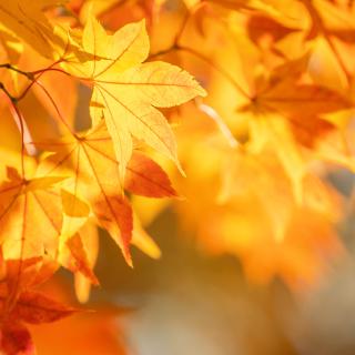 Plenárne a triedne rodičovské združenie - POZVÁNKA